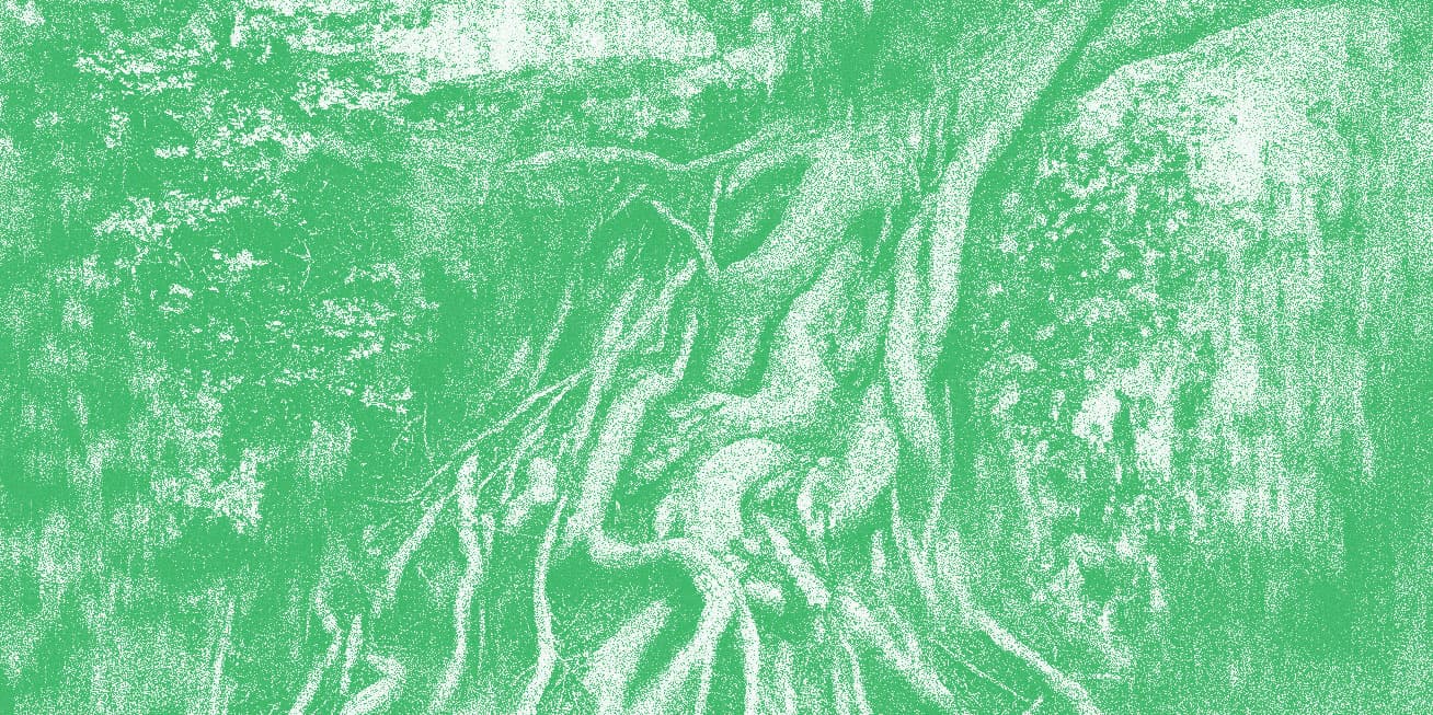 degrowth